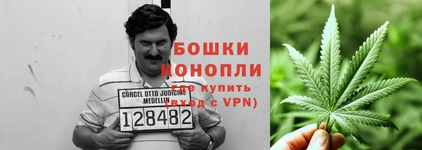 стафф Россошь