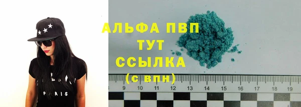 прущие грибы Рославль
