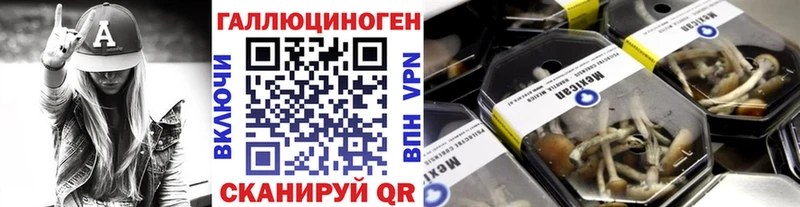 Псилоцибиновые грибы Cubensis  Ужур 